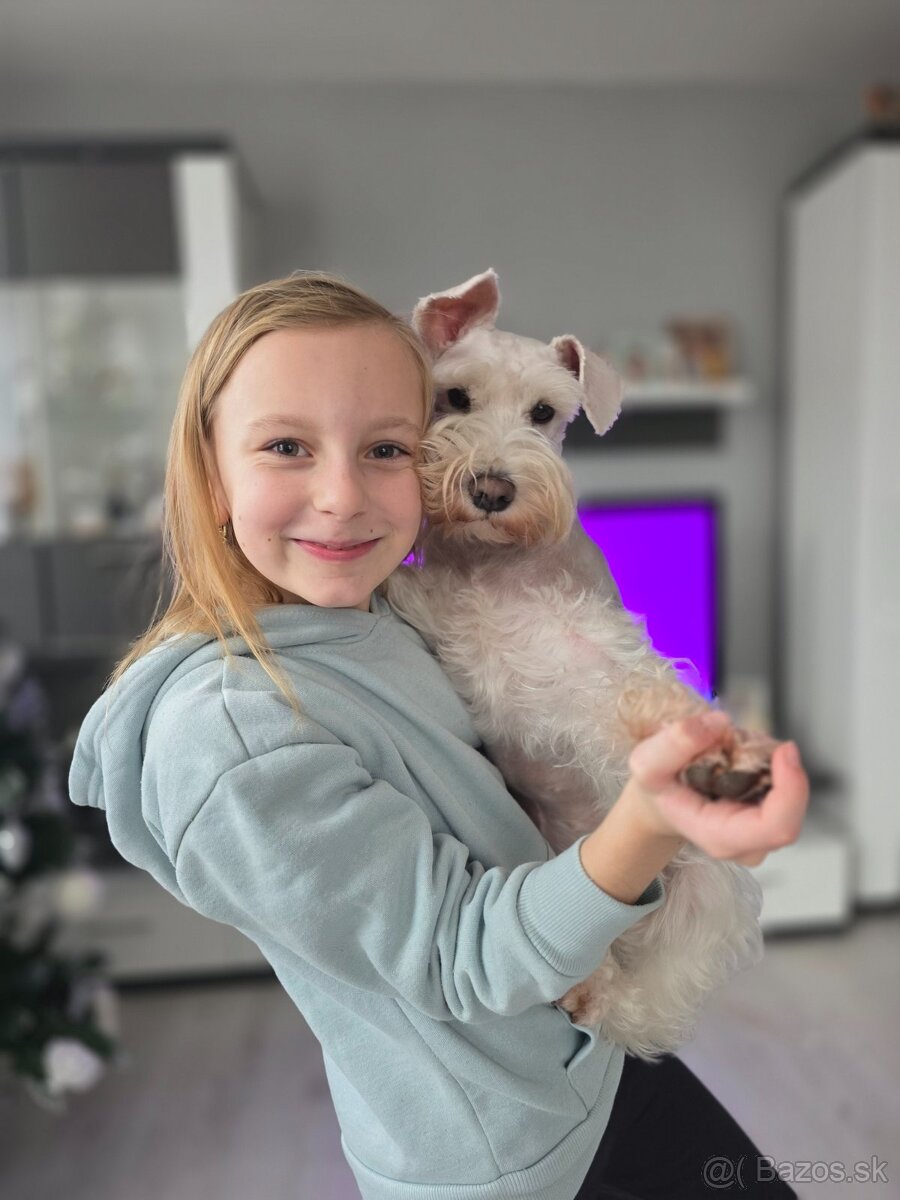 Bradáč malý biely - 6