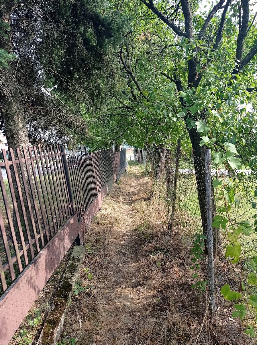 Záhrada na Zemplínskej Šírave - 6