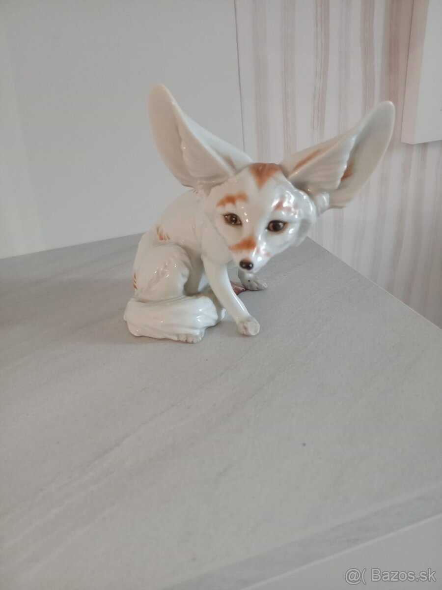 porcelánová púštna líška - 6