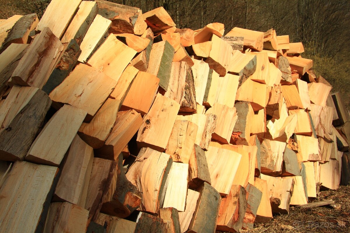 PALIVOVE DREVO BUK - 6