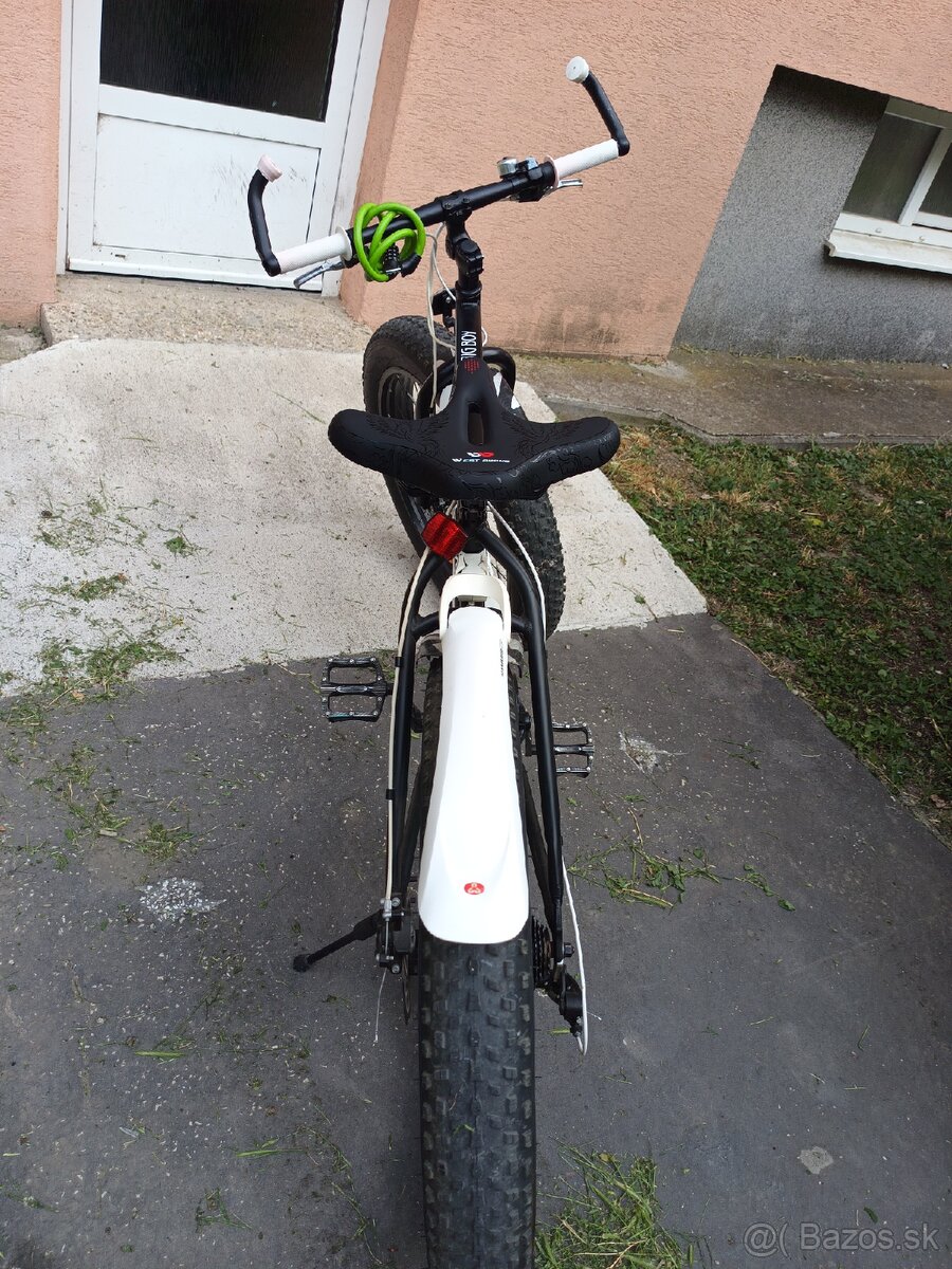 Fatbike - 6