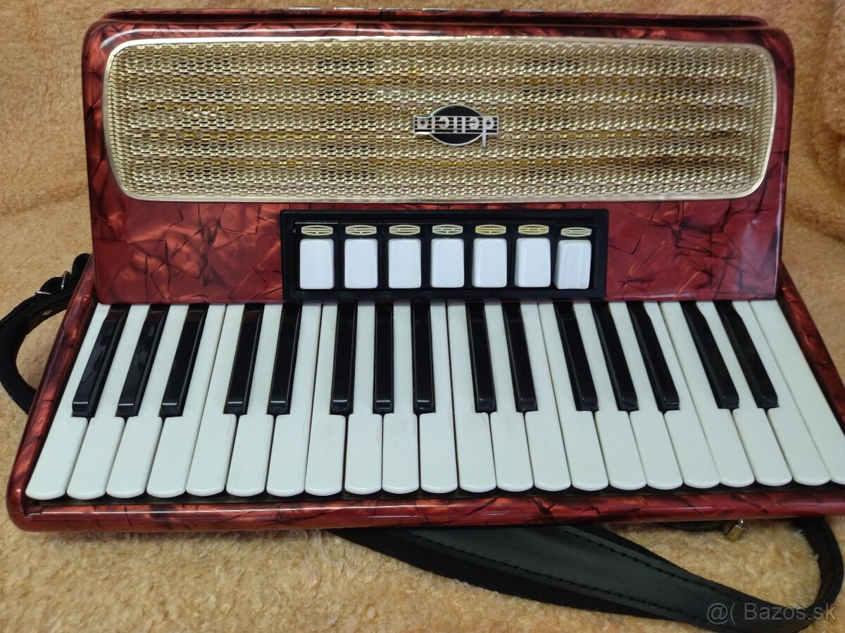 Harmonika akordeon Delicia Carmen III - 96 bas. - 6