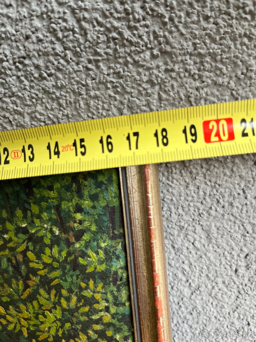 Obraz Jeleň v lese - 6