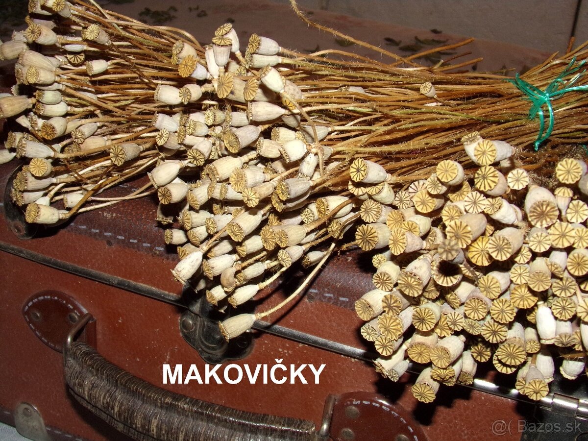 SUŠENÉ KVETY NA ĎALŠIU TVORBU - 6