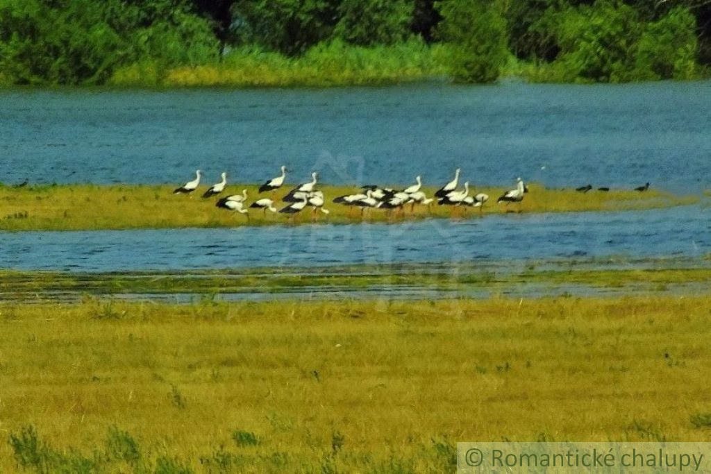 Veľká záhrada 1120 m2 v osade Pod srdcom, Devínska Nová Ve - 6