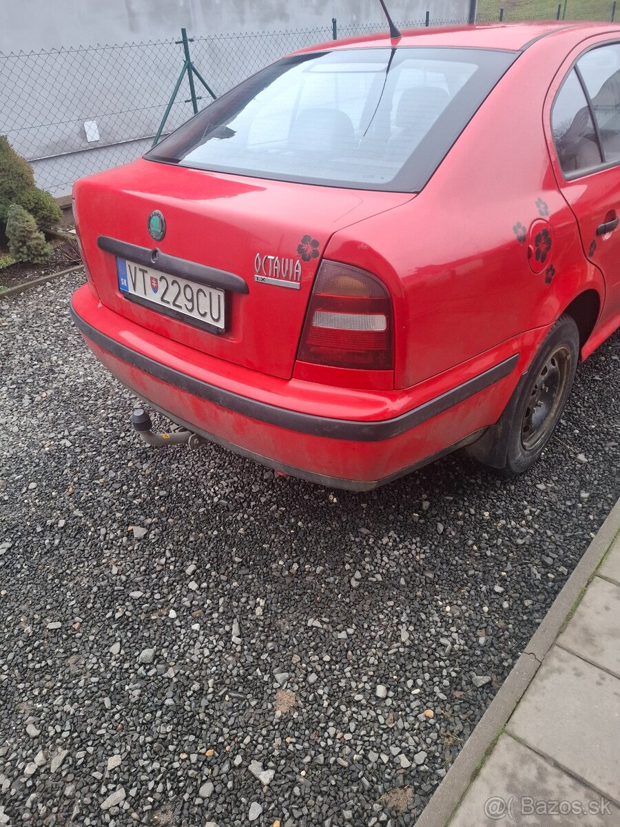 Octavia - 6