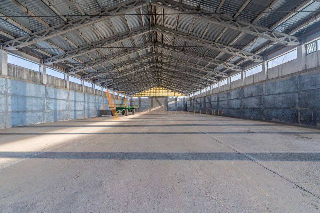 ALL INCLUSIVE l NA PRENÁJOM PRIEMYSEĽNÝ OBJEKT - AREÁL, TOPO - 6