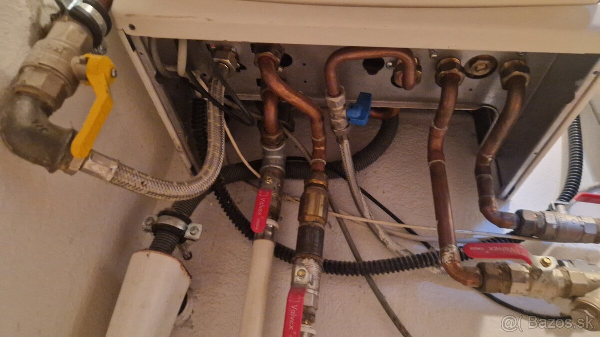 Predam Immergas victrix - 6