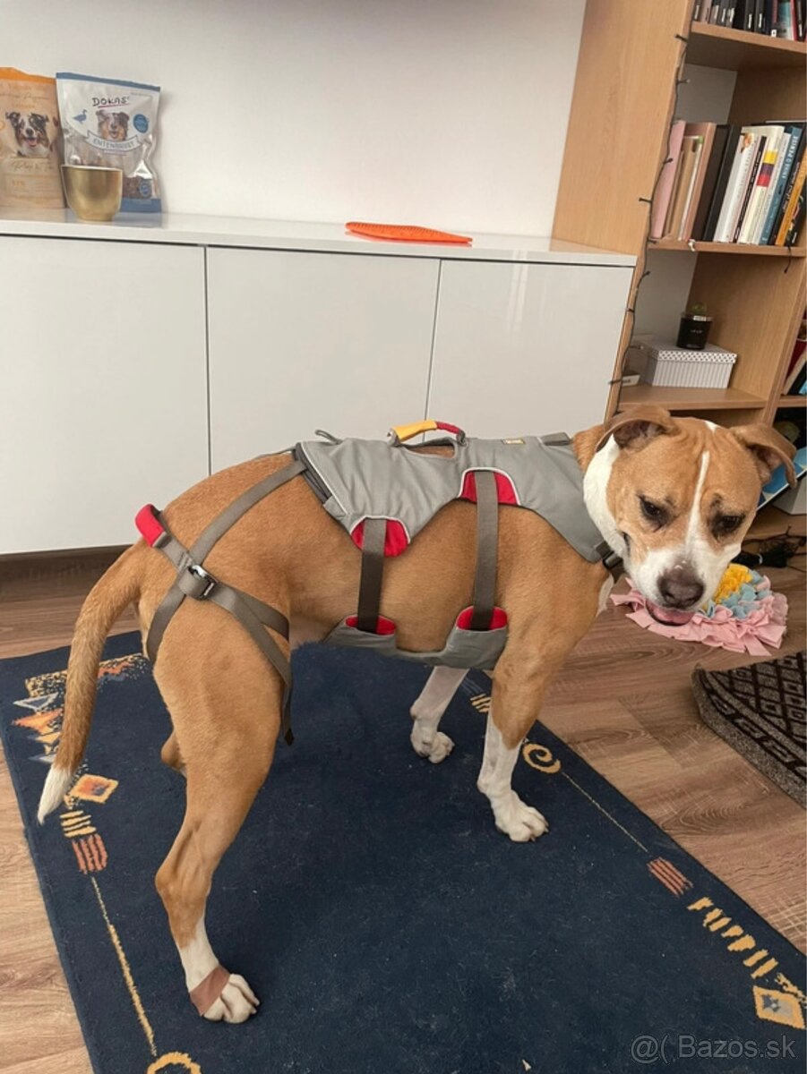 Ruffwear profesionálny postroj - 6