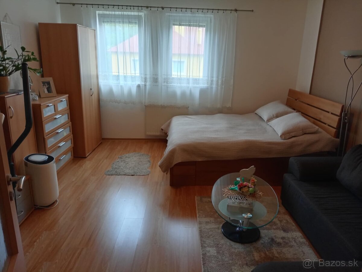 2 izbovy byt Lánska - 6