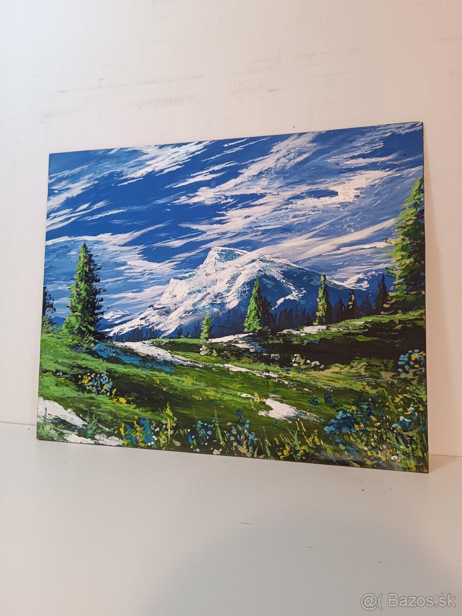 Akrylové obrazy 50x30 - 6