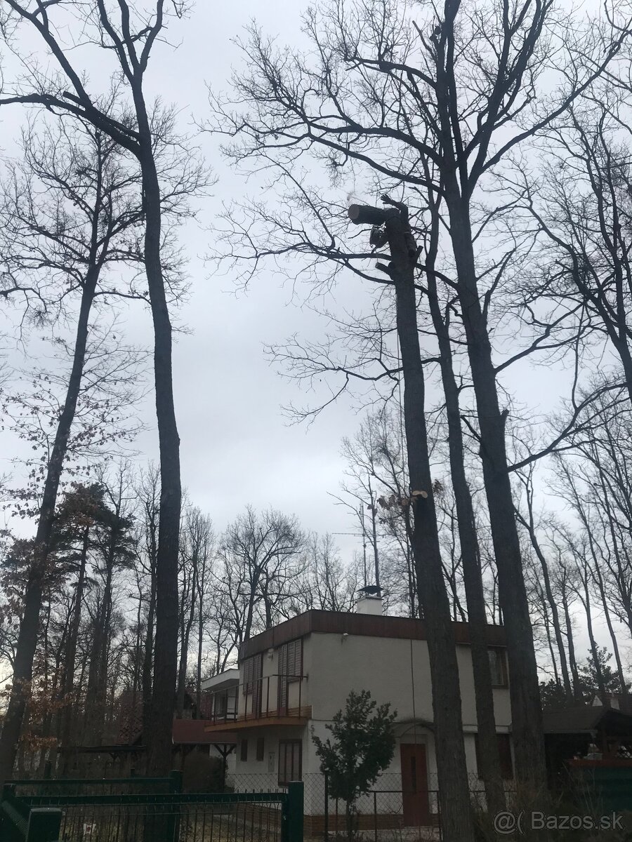 Pílenie stromov, arboristika, drtenie konárov - 6