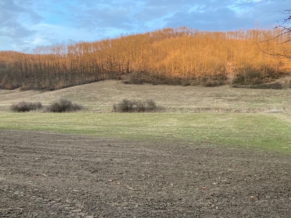 Pozemok na stavbu na predaj -Ratka - 6