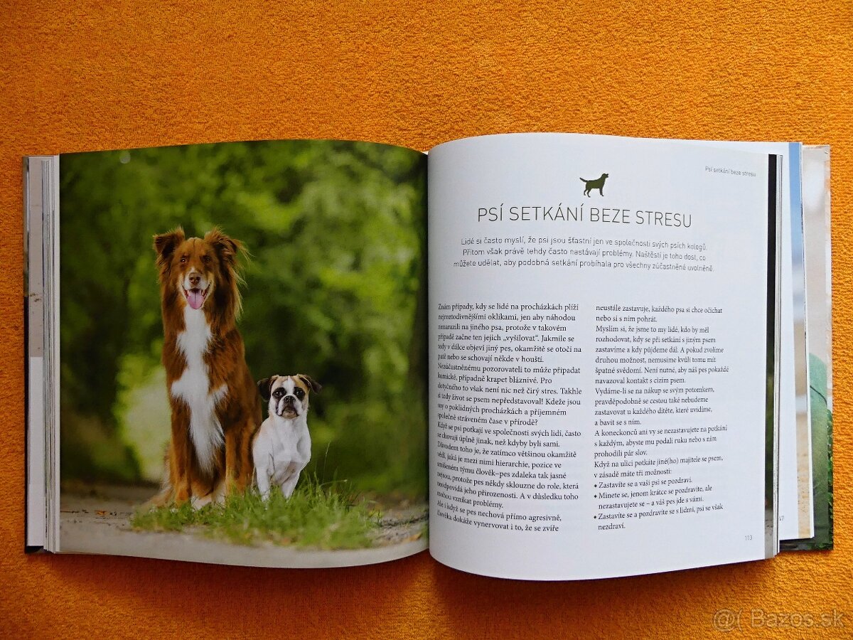 José Arce - Týmová spolupráce mezi člověkem a psem - 6