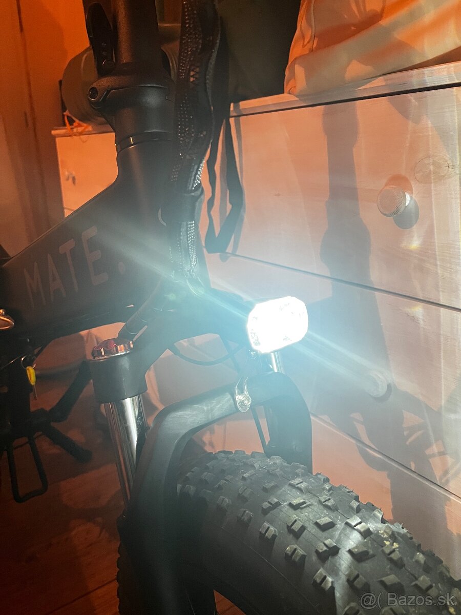 MATE BIKE X 750w - 6