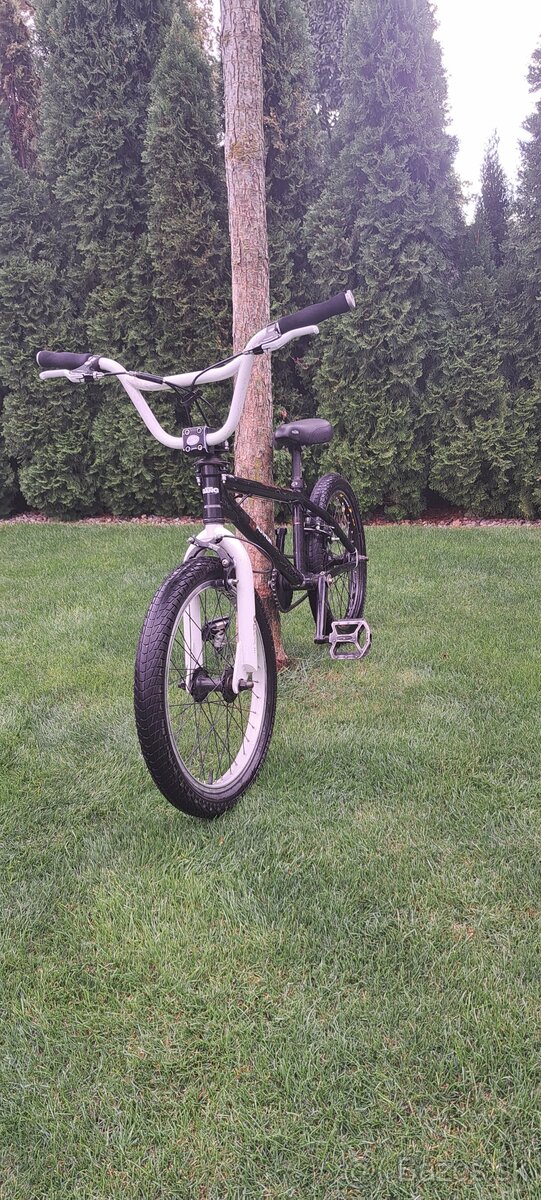 BMX Author Buzz - 6