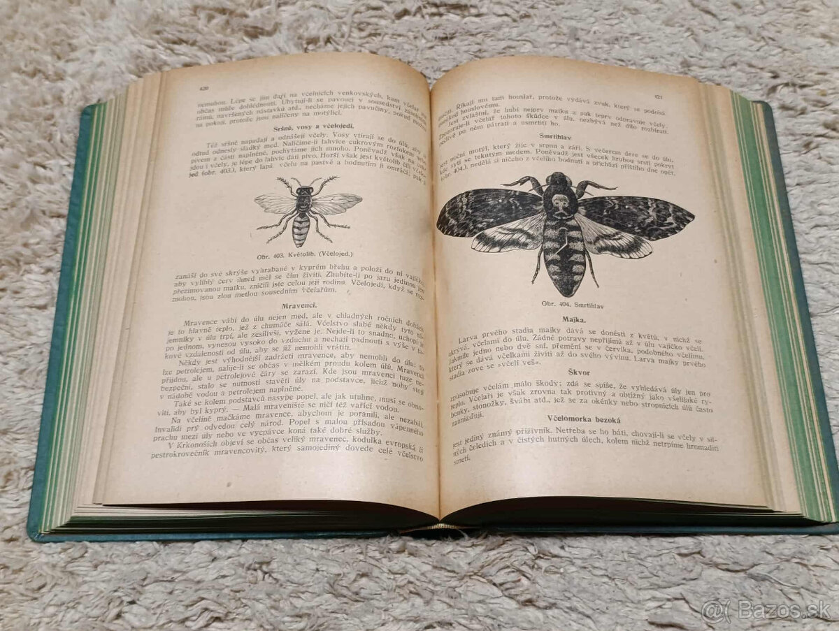 Včelařova čítanka - 6