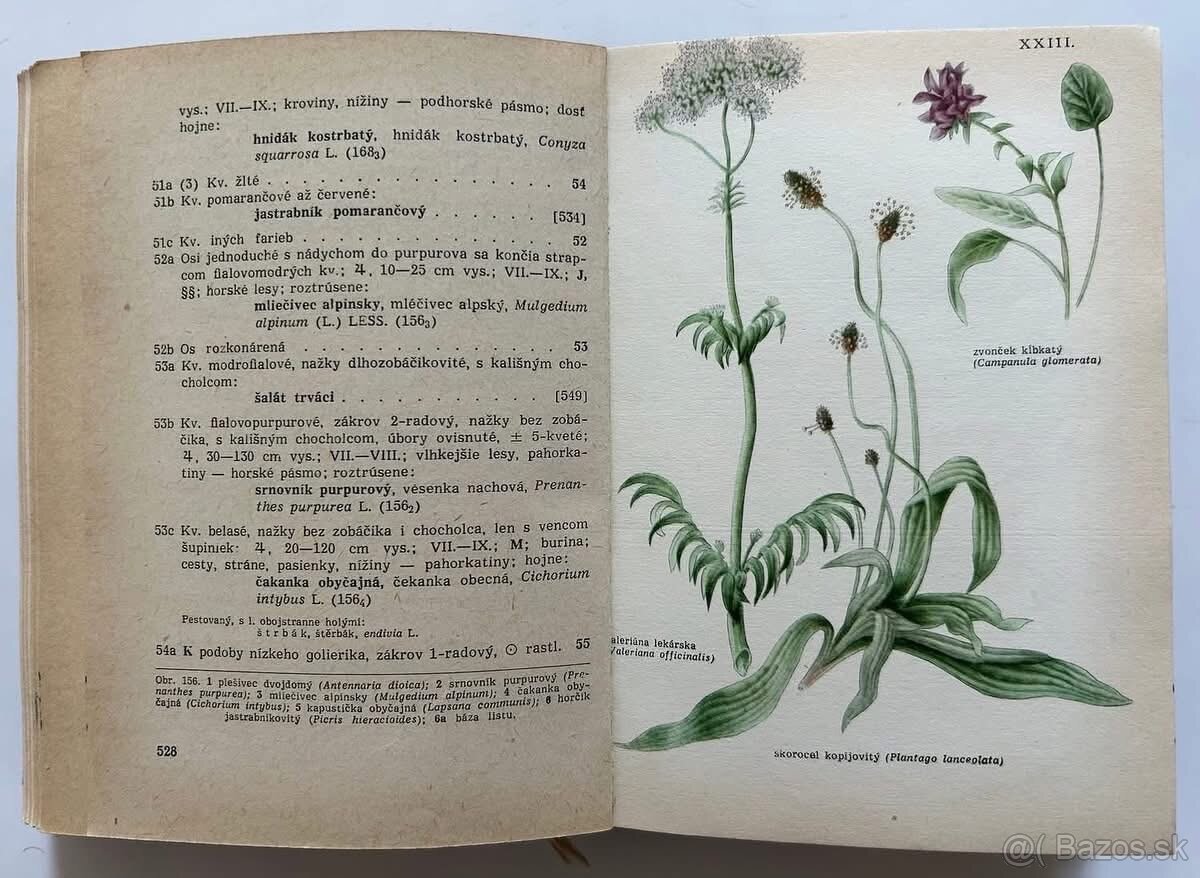 LIEČIVÉ BYLINKY + PRÍRODNÁ LIEČBA - 6