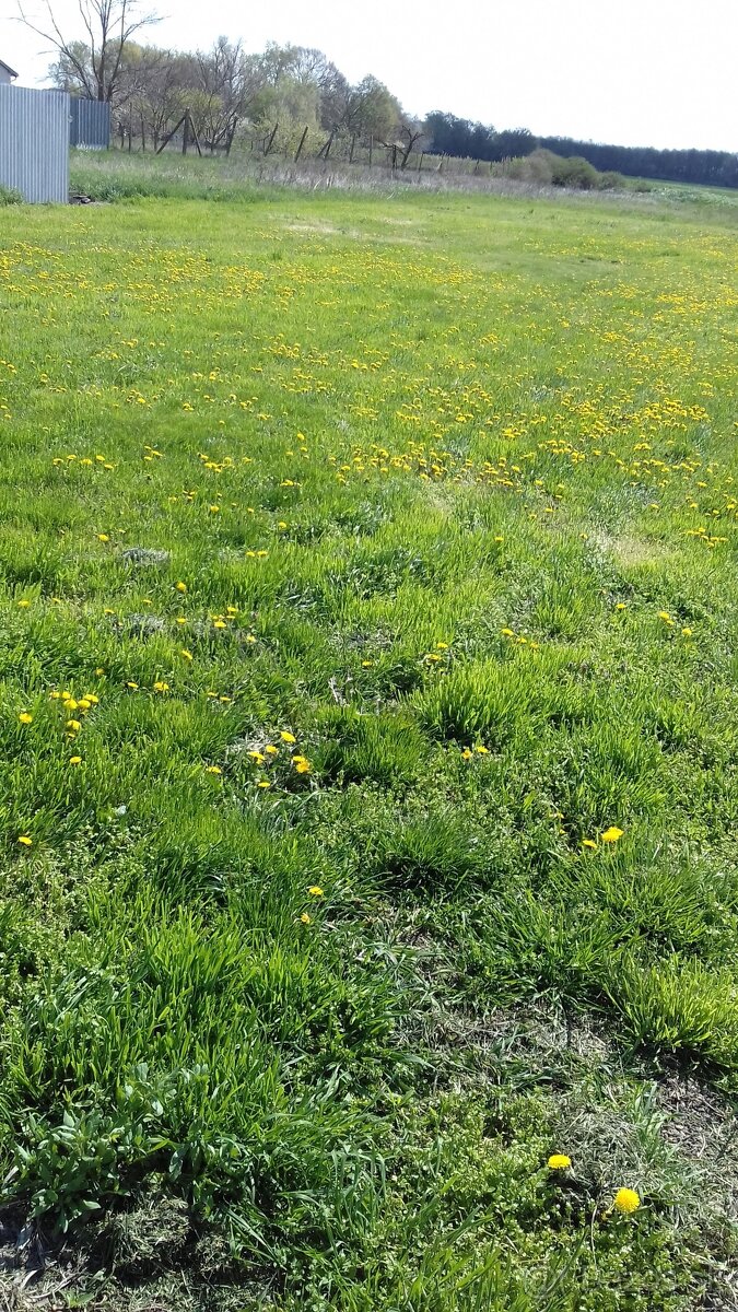 stavebny pozemok , zahrada - 6