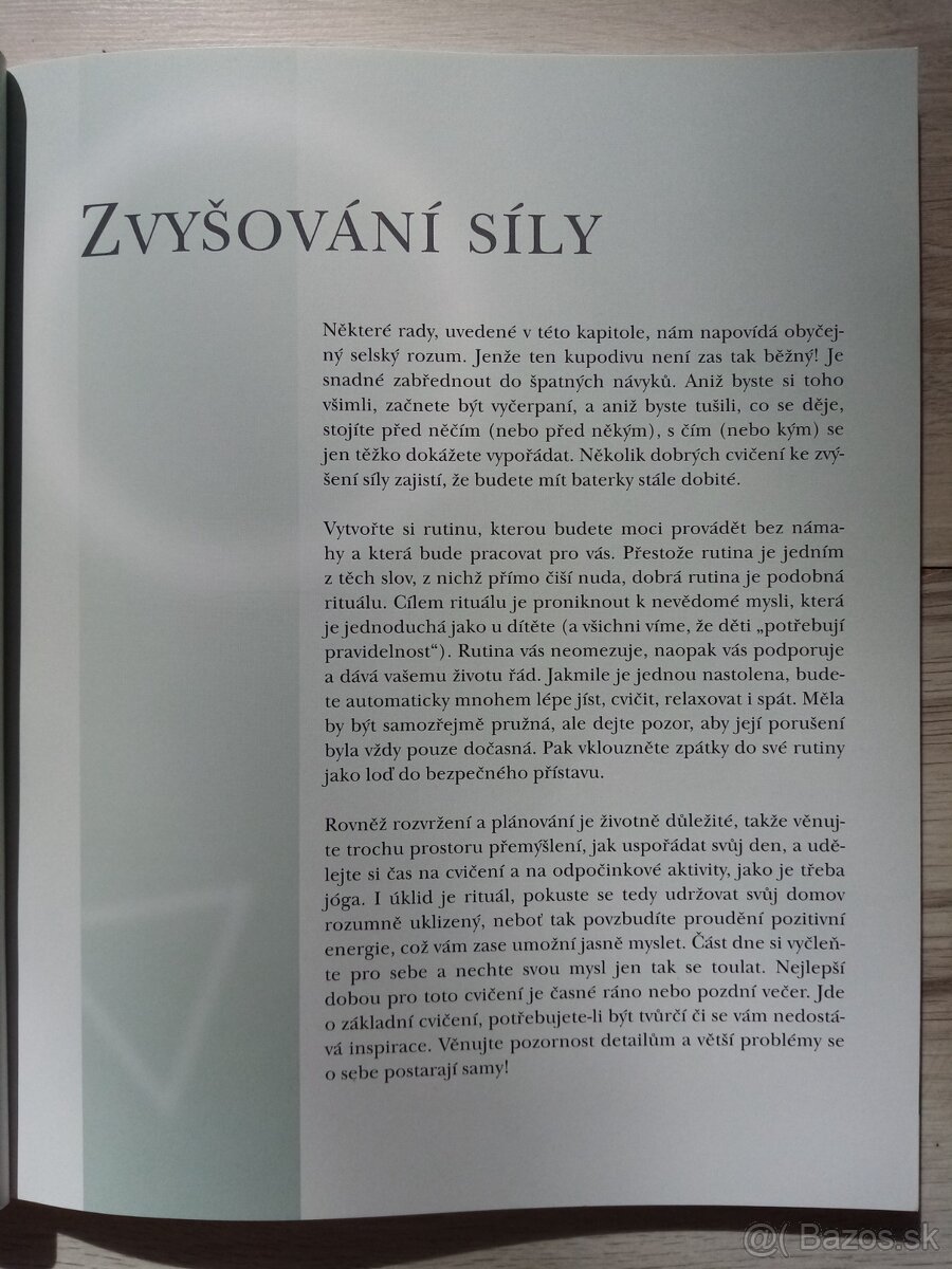 Duševní ochrana Jak stvořit pozitivní,obrannou ... - 6