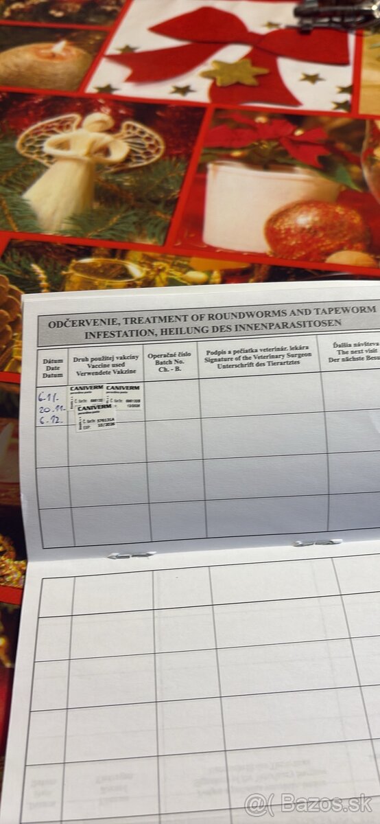 Predam šteniatko Akita inu - 6