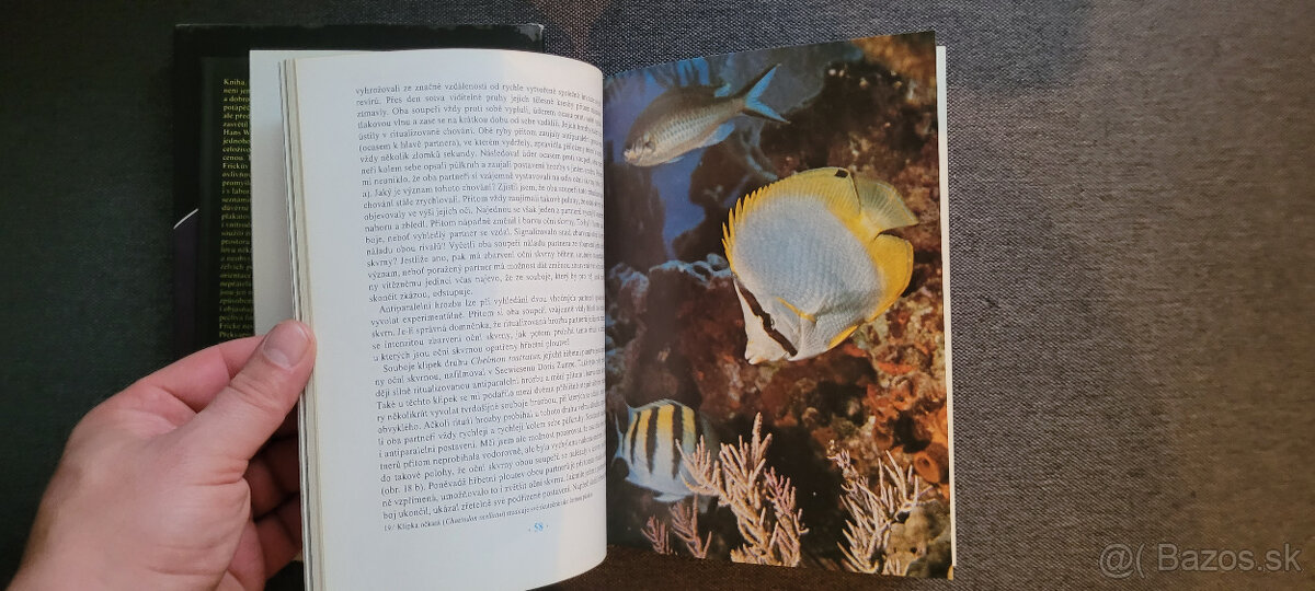 2 x knihy o potápaní - krásny stav - 6