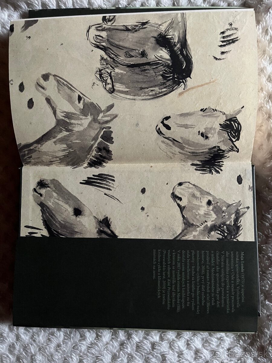 Kôň Przewalského - 6