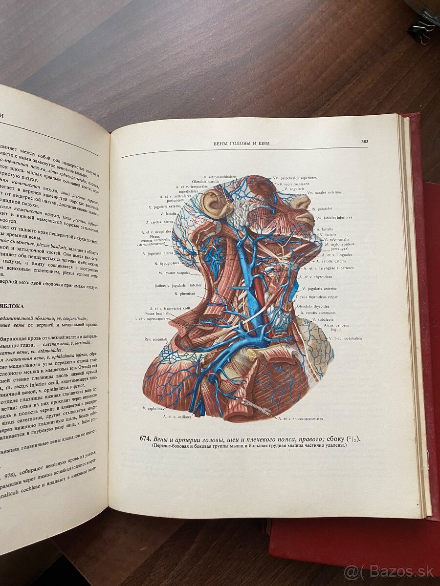 Atlas - Anatomia cloveka 2,3 - 6