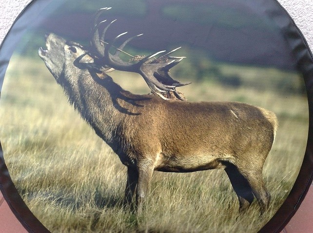 Kryt rezervy kolesa - 6