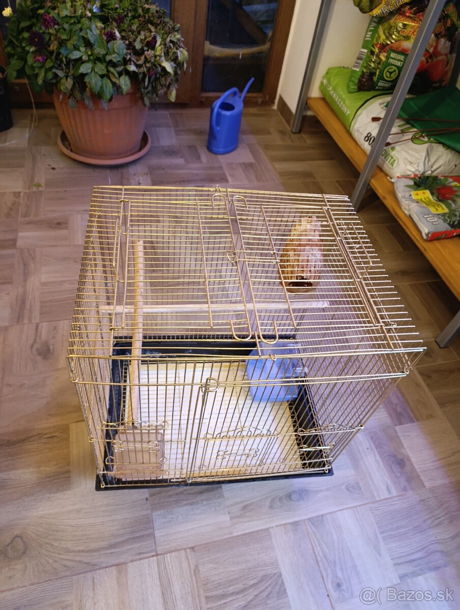 Predám klietku - 6