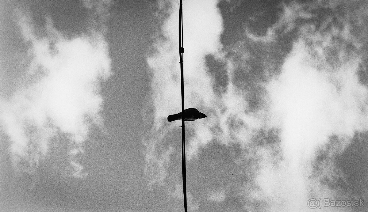 Nikkor AF-D 85mm f1.8 - 6