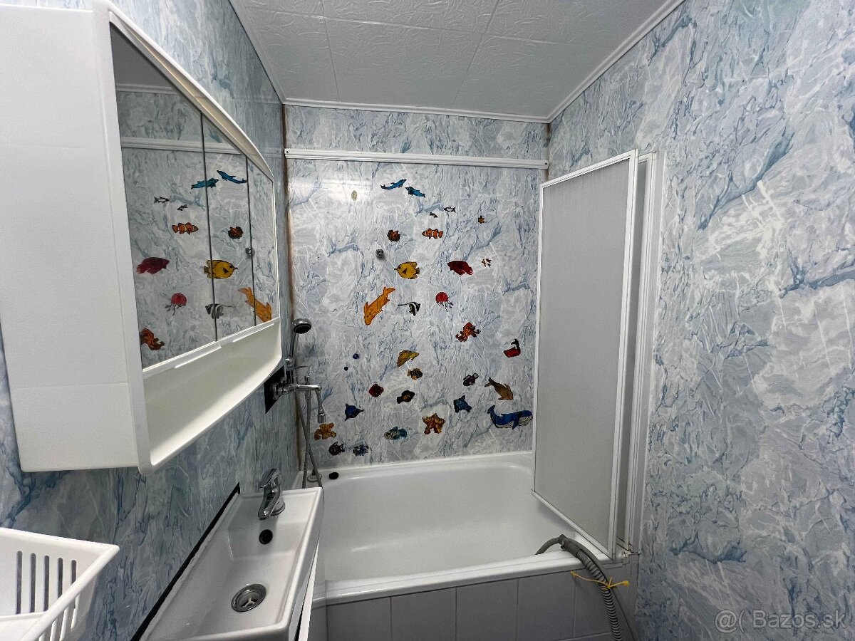 Na prenájom veľký 1-izbový byt, PP Starý Juh, pri nemocnici - 6