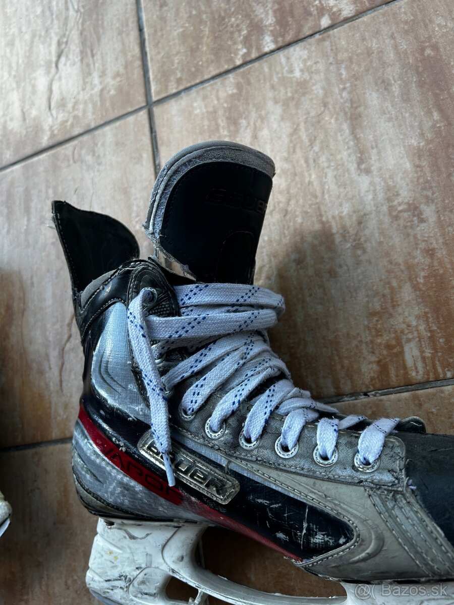 Používané korčule Bauer Velkost 44,5 - 6