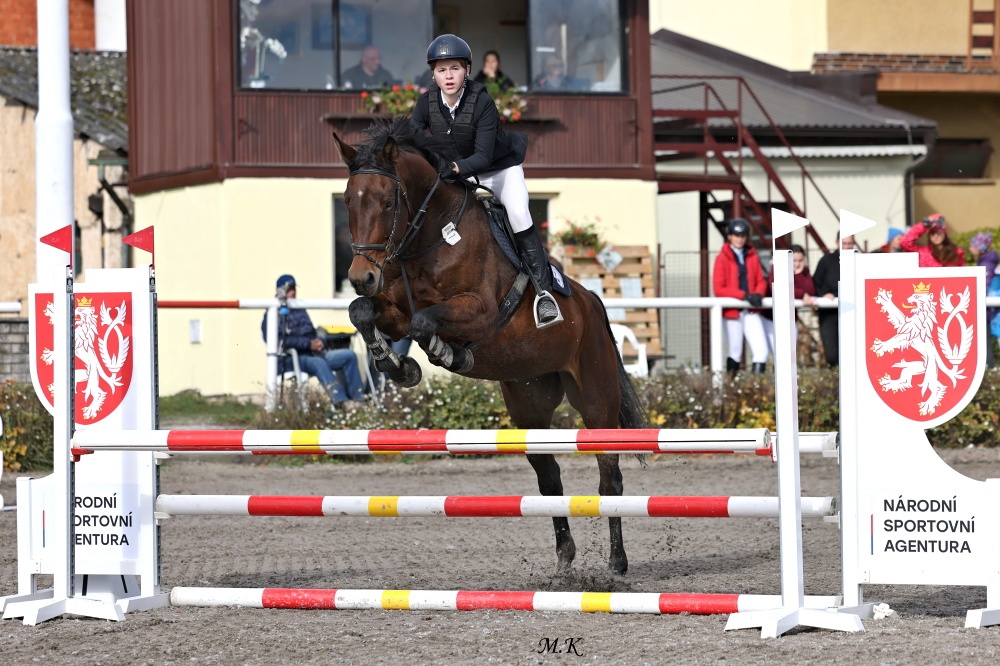 Kobylka na rekreaci / rodinný mazel / sport - 6