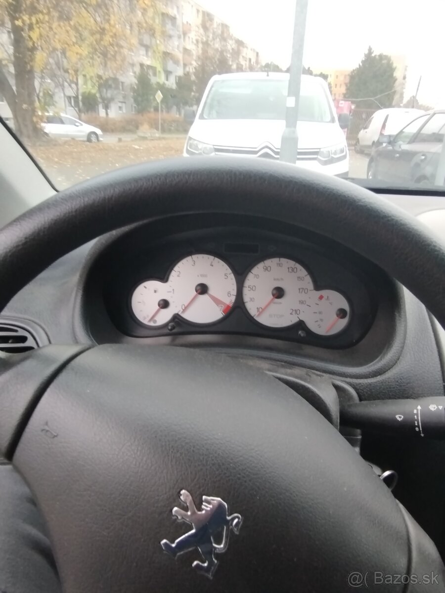 Peugeot 206 - 6