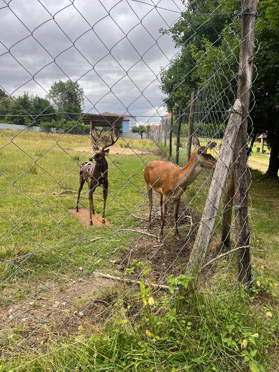 Originálne sochy zo železa - 6