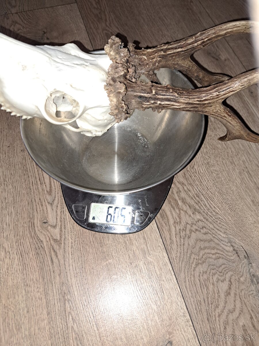 Srnec 600h parohy parozie - 6