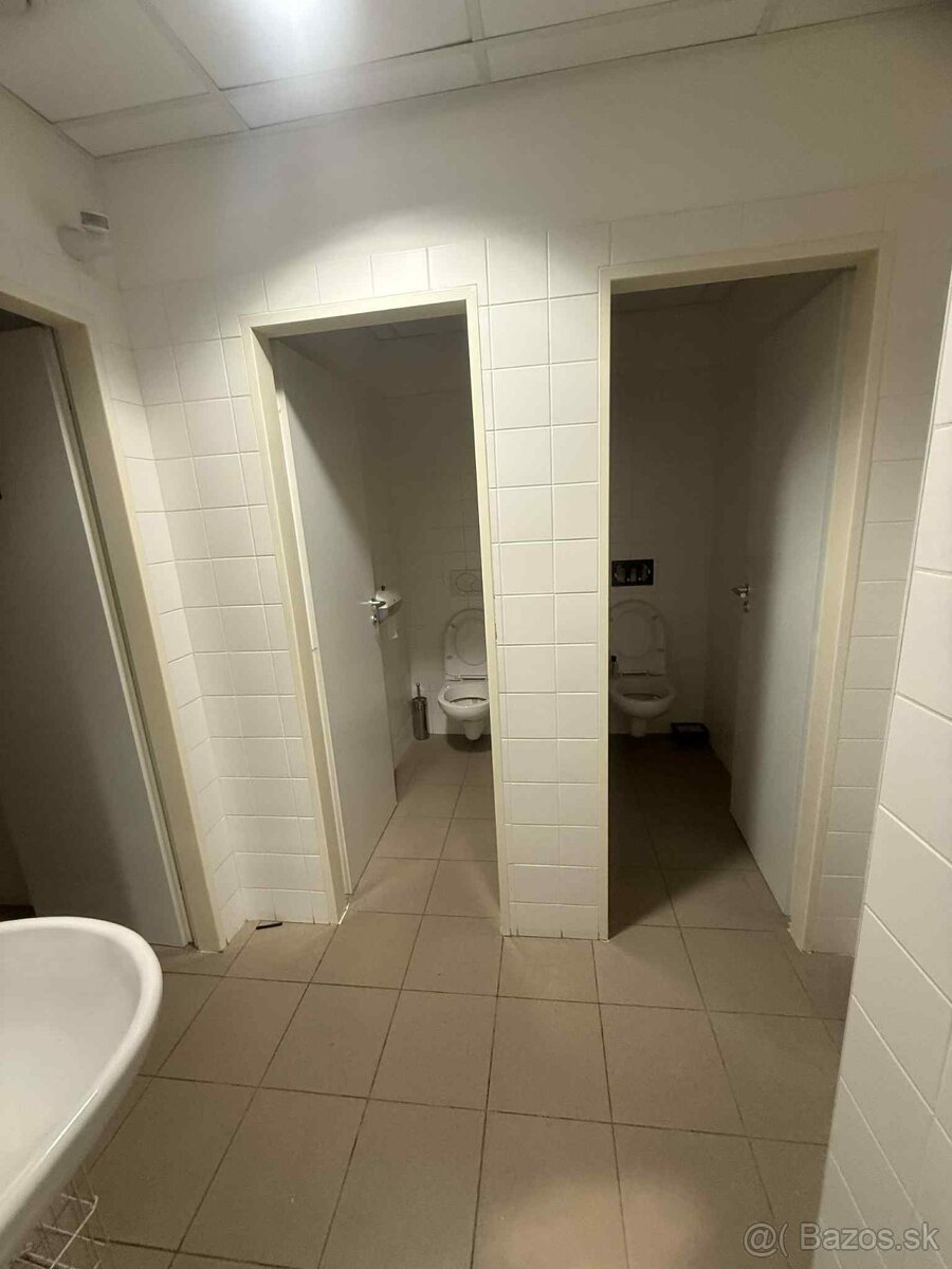 Reprezentatívne komerčné priestory - 6