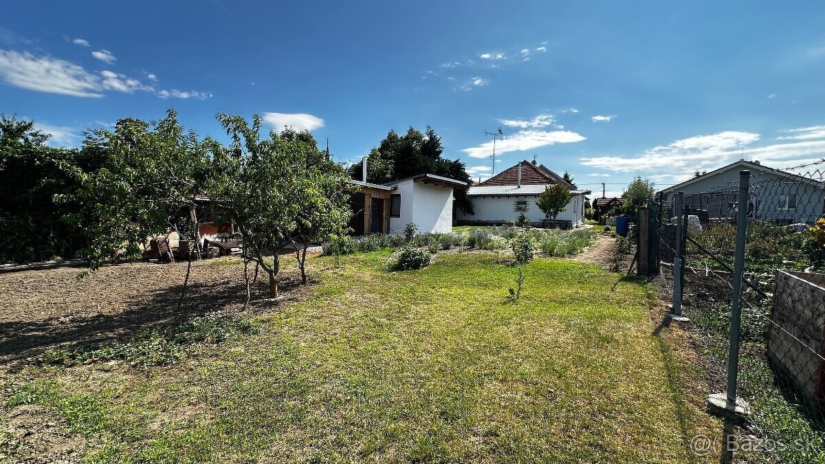 Fotografia 6