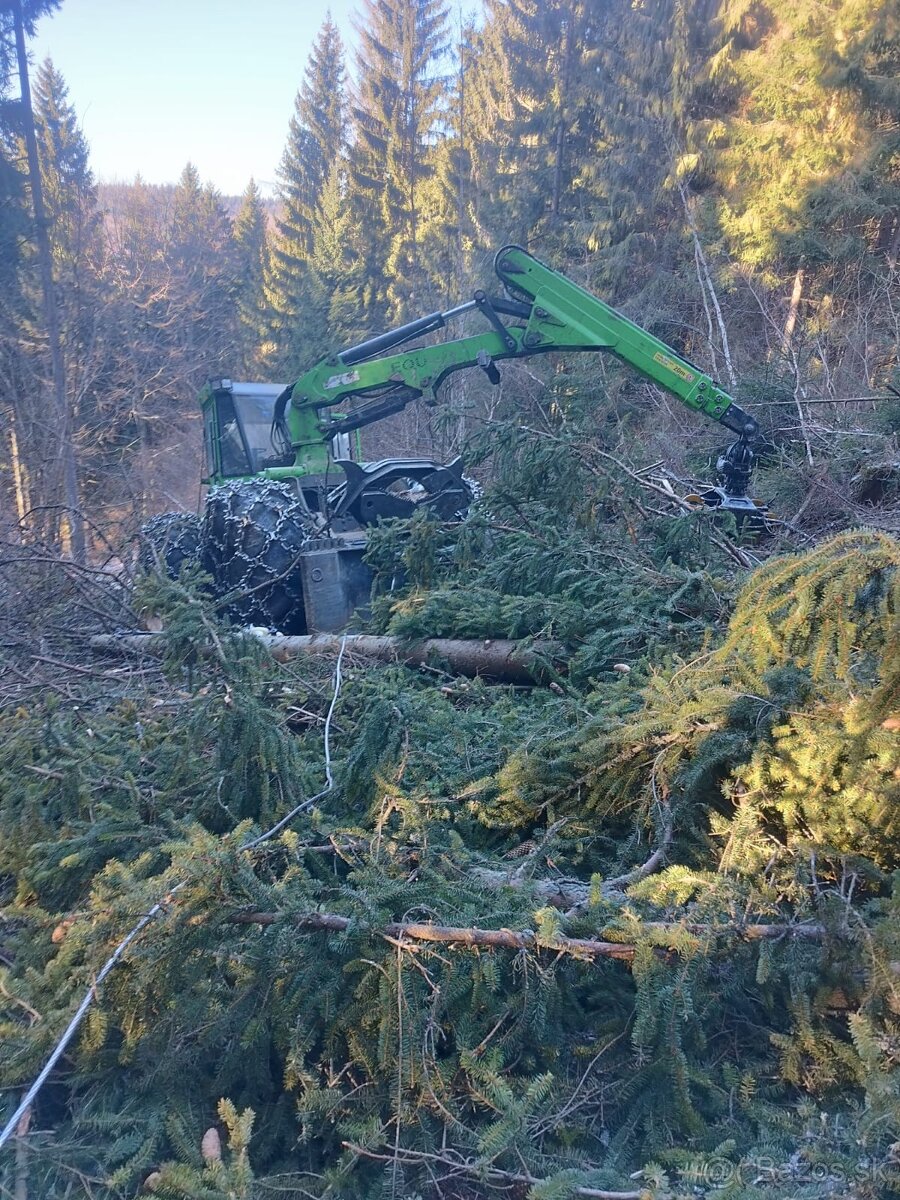 Tazba dreva, pestebná činnosť - 6