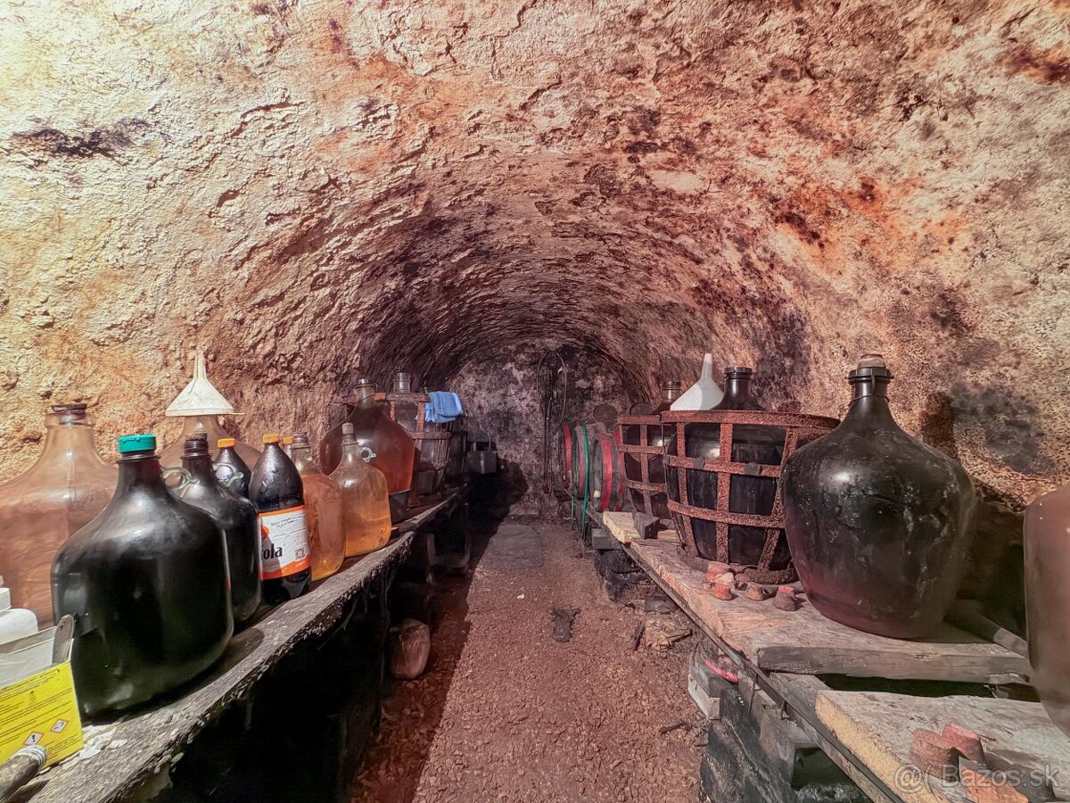 CENTRÁLNA POLOHA, OBROVSKÉ MOŽNOSTI, RODINNÝ DOM - 6