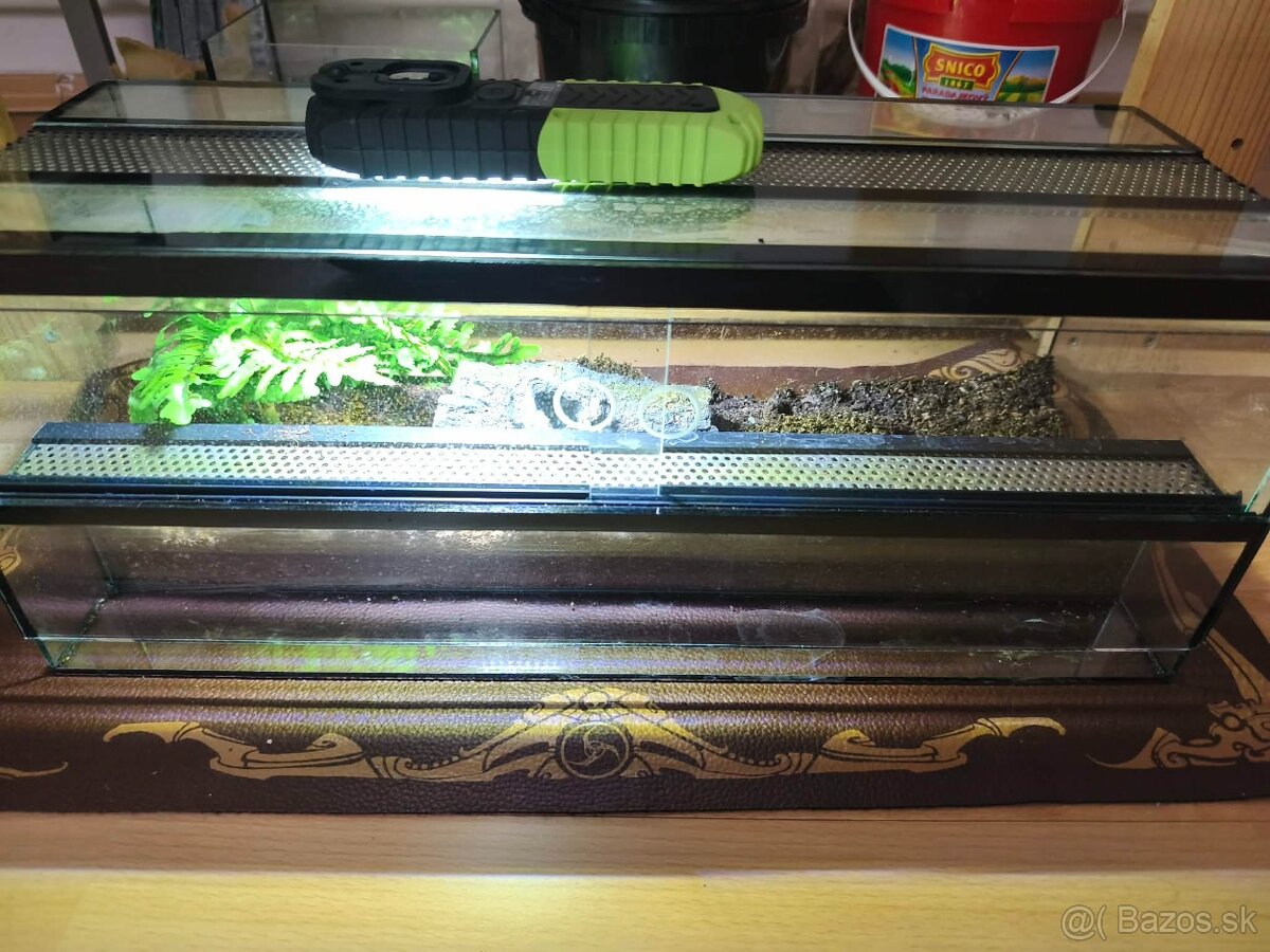 Predam teraria - 6