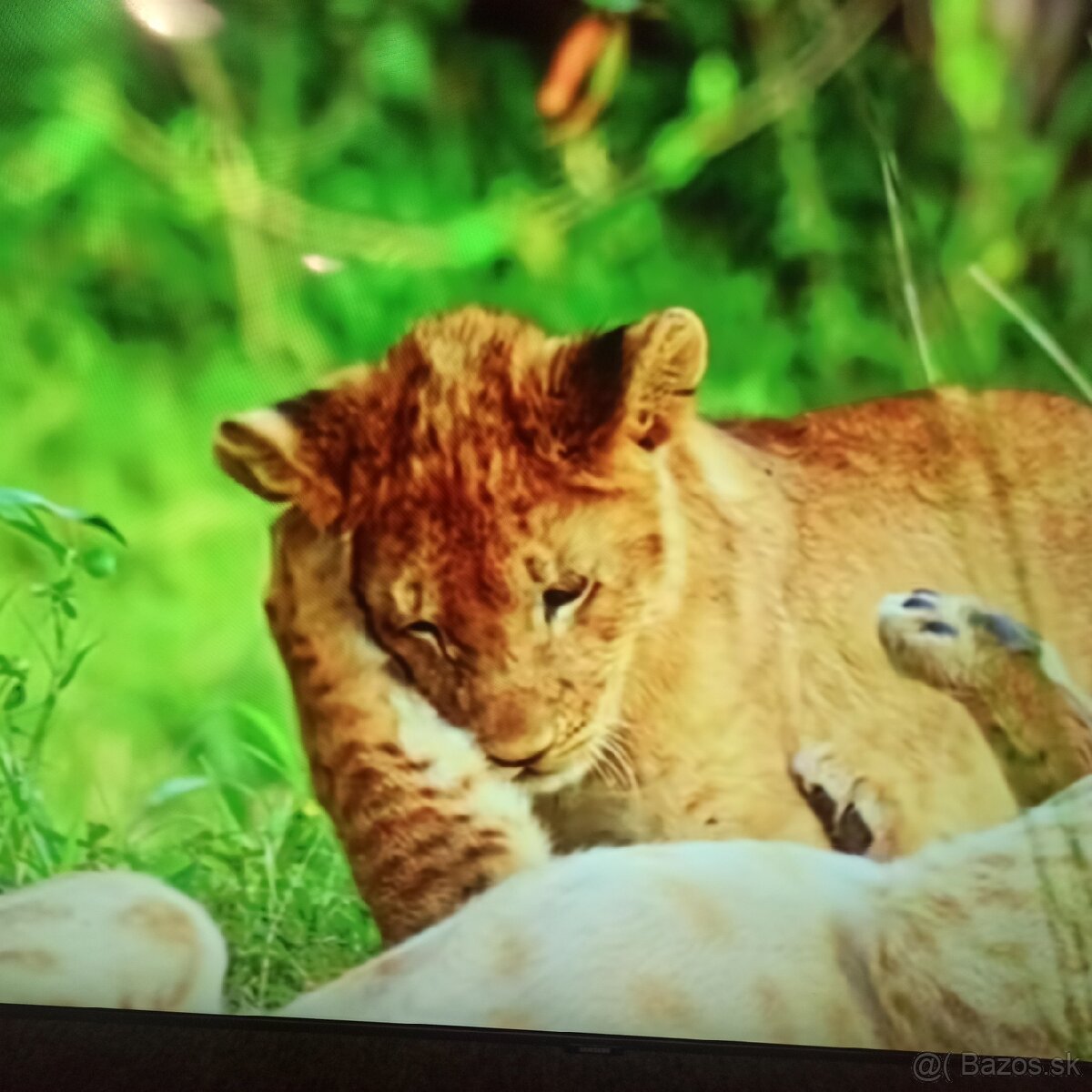 Samsung led tv (165cm)UE65CU7172U - 6