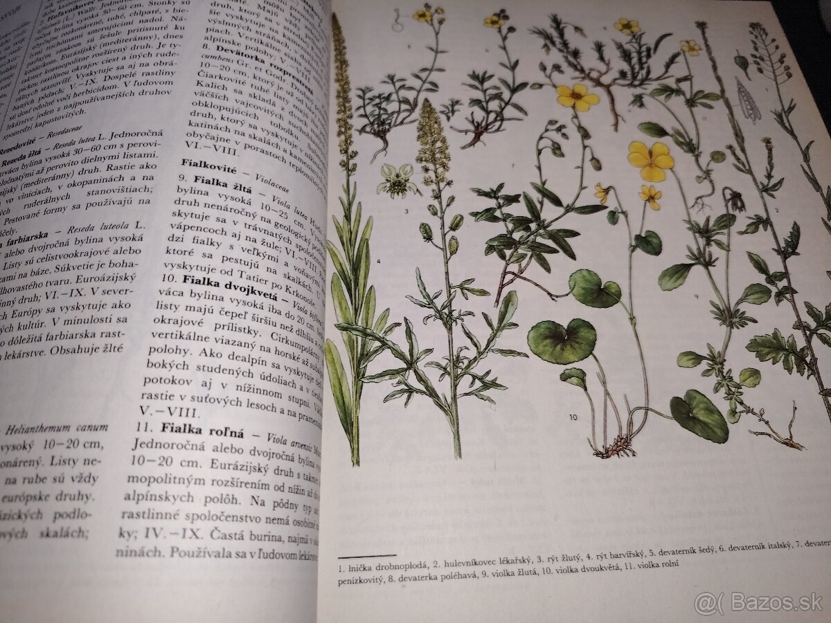 Z našej prírody - 6