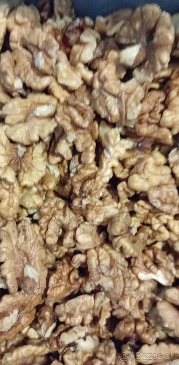 Orechy tohtoročné vlašské - 6