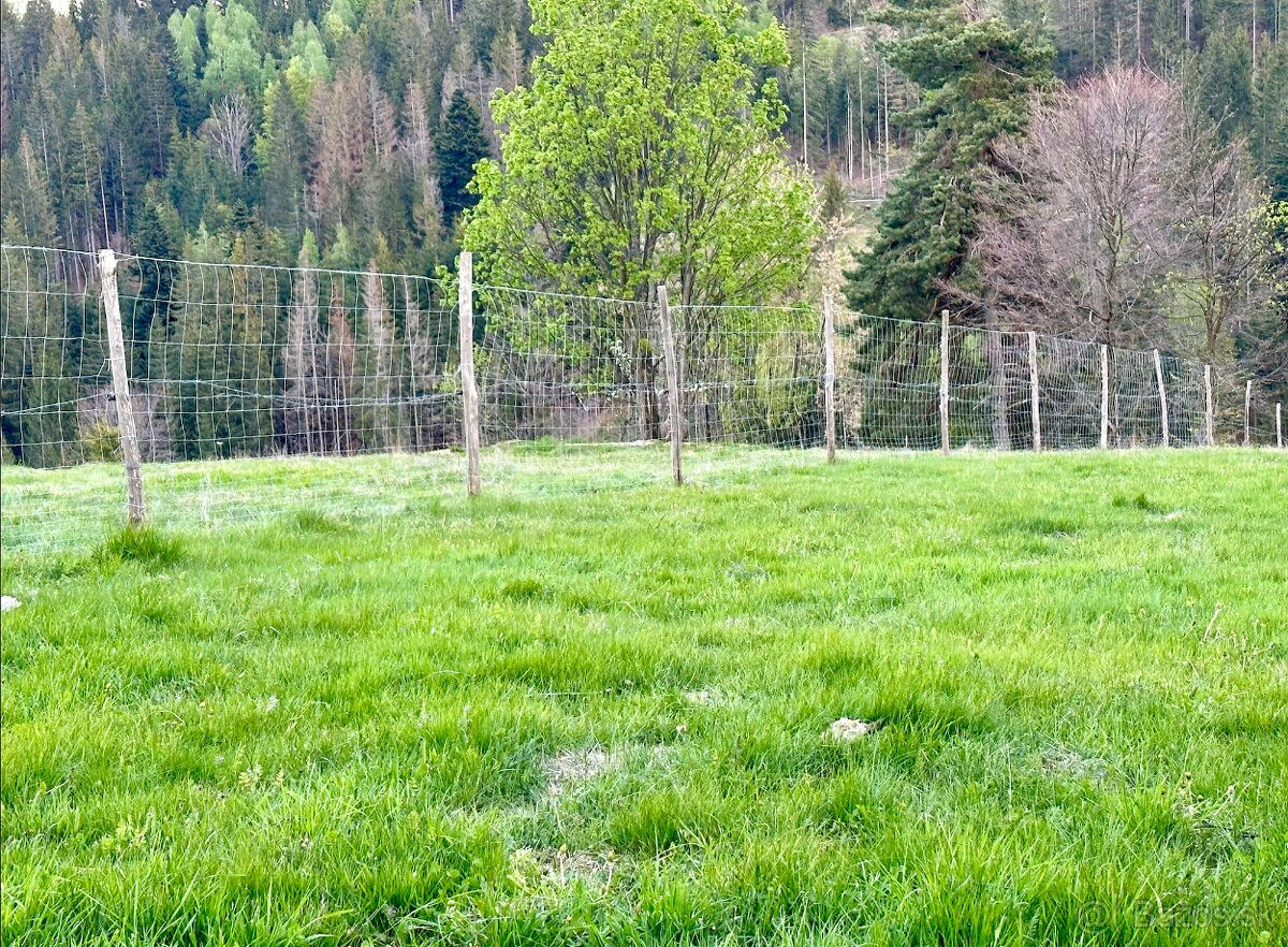 POZEMOK v Celosti 67 000m2, Potok, Elektrika, Stavebné Povol - 6