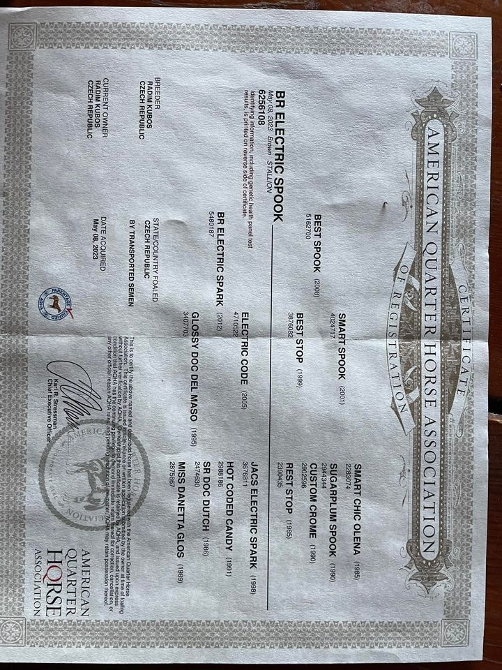 Na prodej: BR Electric Spook - 6