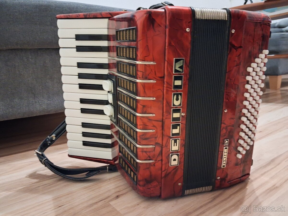 Predam zanovny akordeon pre zaciatocnika... - 6