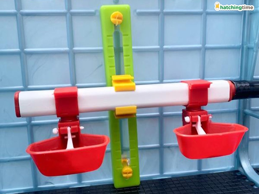 Odchovňa hydiny CIMUKA CB25-03-1K - 6