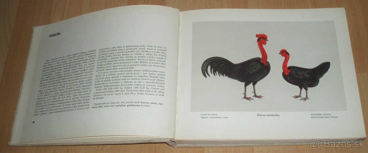 Atlas plemien hydiny - 6